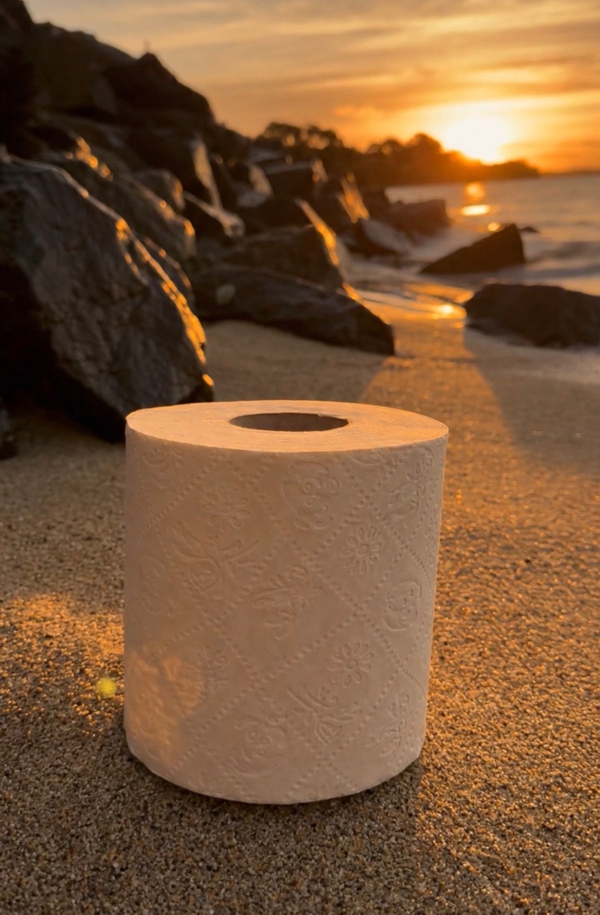 24 Pack Premium 100% Raw Bamboo Toilet Paper Double Length 370 Sheets
